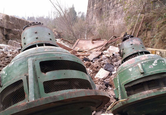 转让轴流式水轮发电机组