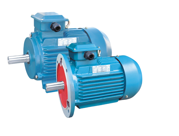 茂名臻能热电有限公司两台异步电动机